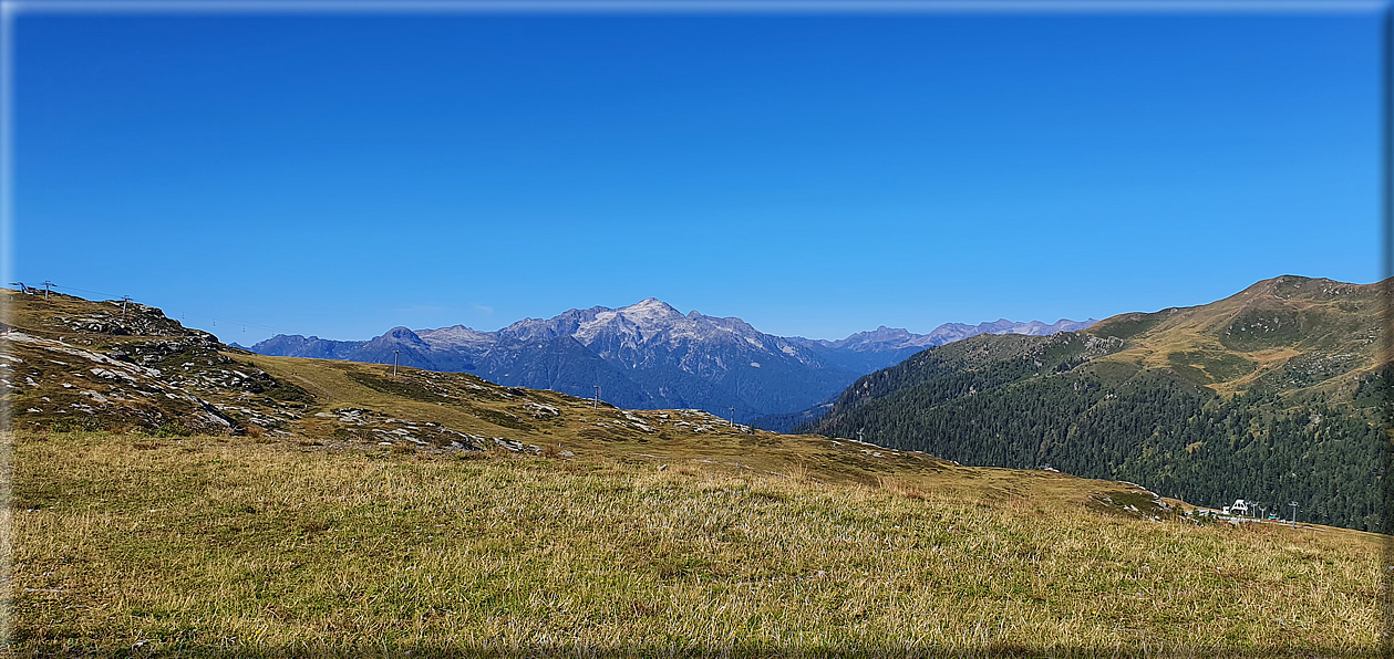 foto Alpe Tognola